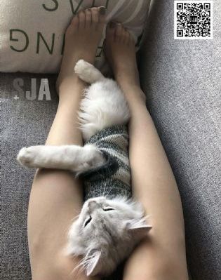 边躁狠狠躁双性孕夫_国产剧免费在线播放